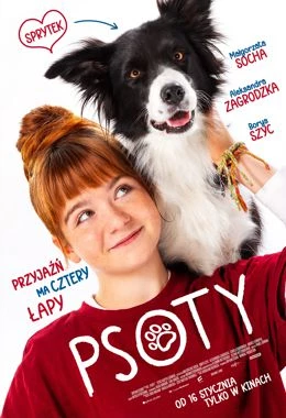 Film: Psoty